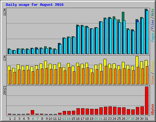 Daily usage for August 2016